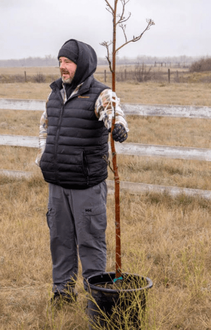 The Over Armour Winter Lined Gloves - Weldingaids Atlantic